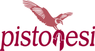 Pistonesi s.r.l. Logo